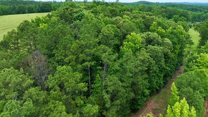 4 Acres on Ashland Rd | Coosa County, AL