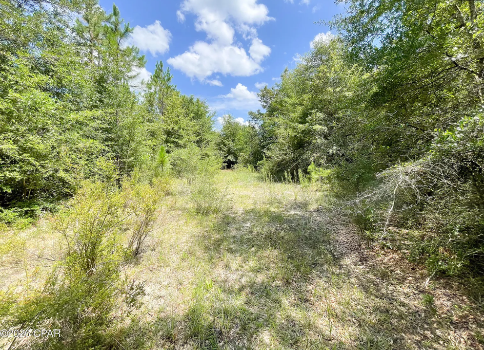 25.5 acres Washington County FL