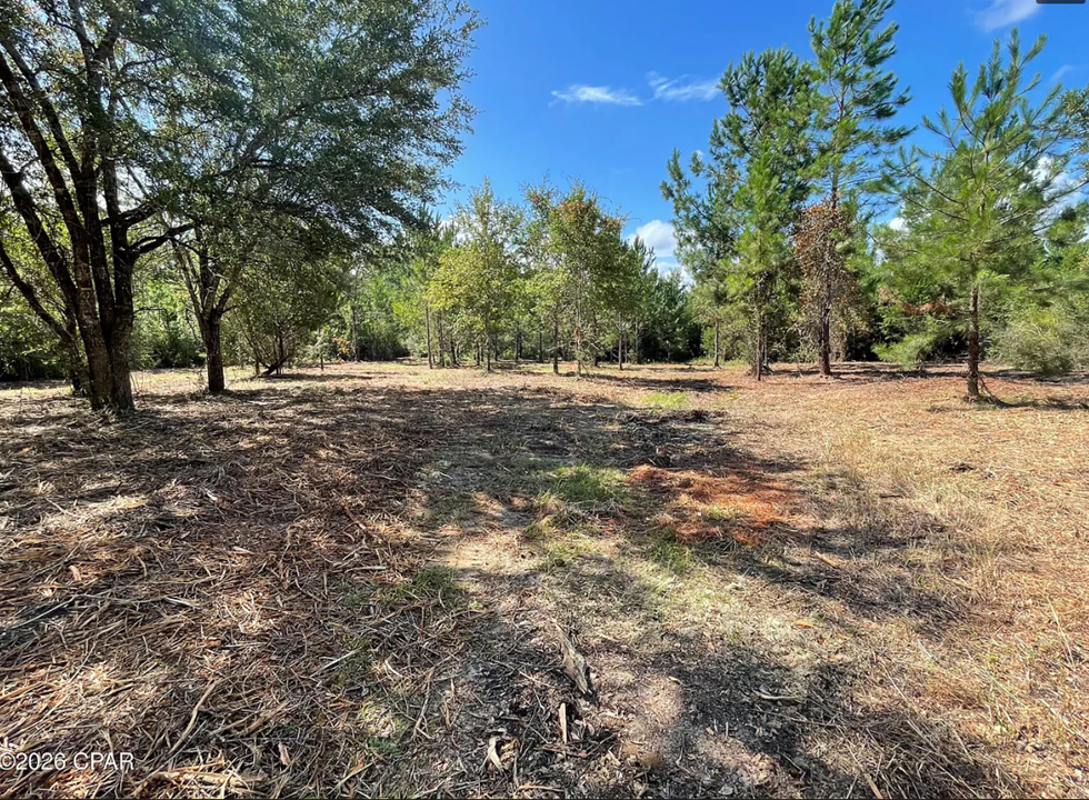9.4 Acres Washington County FL