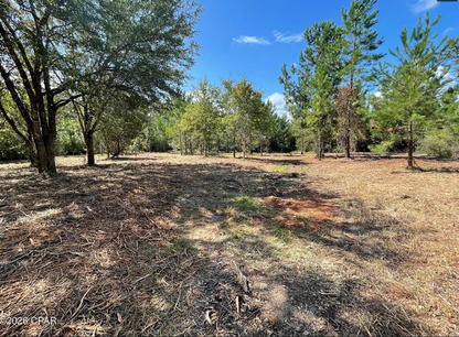 9.4 Acres Washington County FL