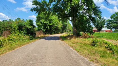 120± Acres in McNairy County, TN