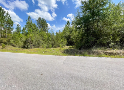 9.4 Acres Washington County FL