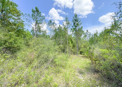 25.5 acres Washington County FL