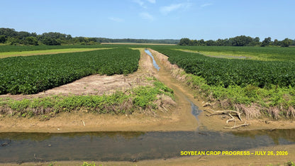 120± Acres in McNairy County, TN