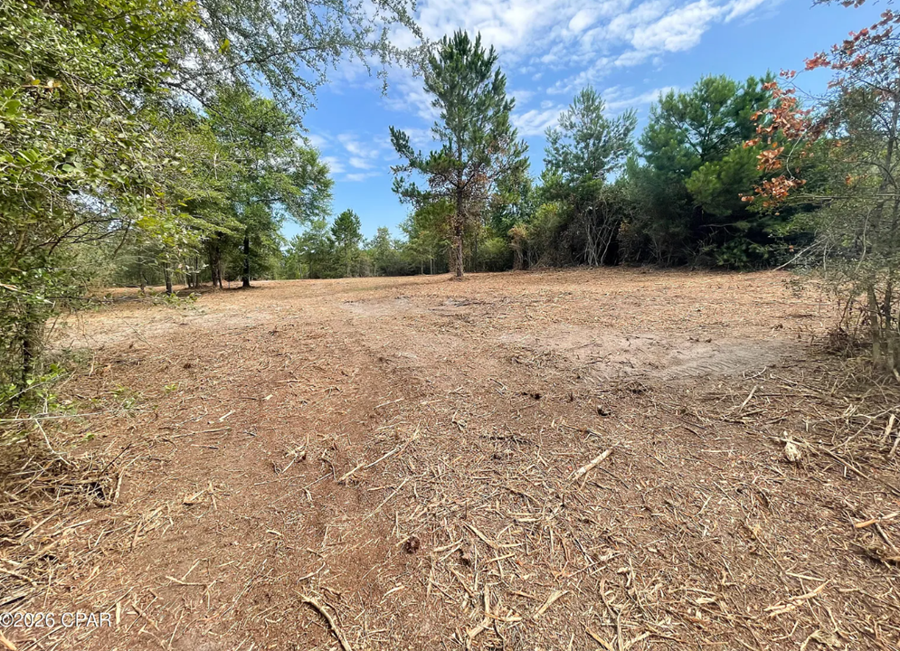 10.10 acre Washington County FL