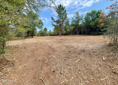 10.10 acre Washington County FL
