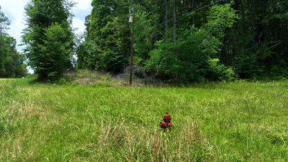 4 Acres on Ashland Rd | Coosa County, AL