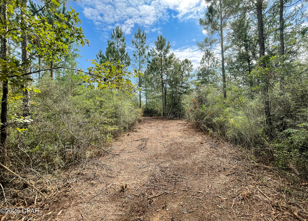 10.10 acre Washington County FL