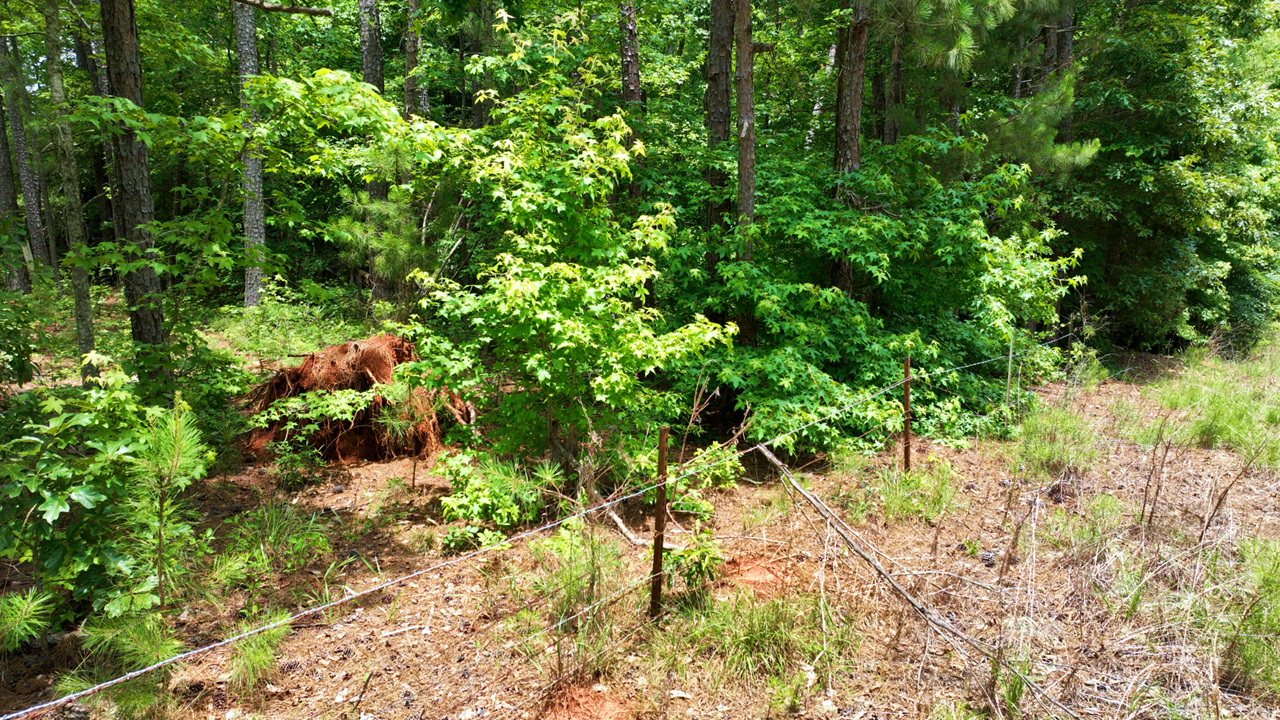 4 Acres on Ashland Rd | Coosa County, AL