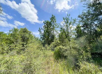 25.5 acres Washington County FL