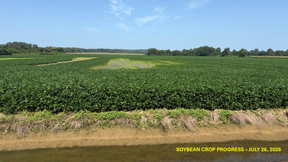 120± Acres in McNairy County, TN