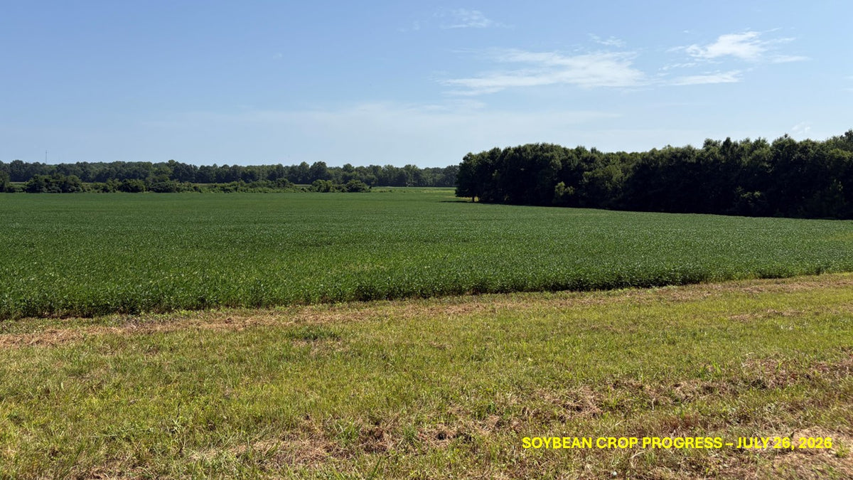 33 acre Mcnairy County TN
