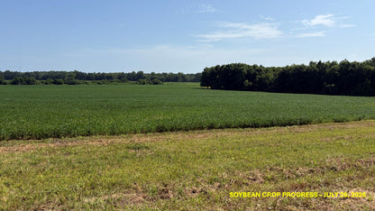 120± Acres in McNairy County, TN