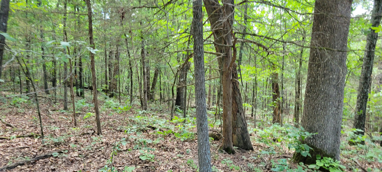 12 Acres – Wispy Trail Ln, Viola, MO