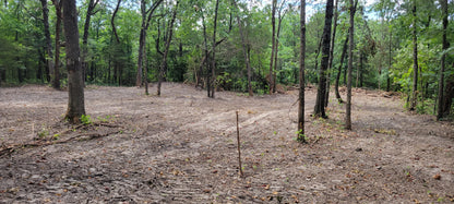 12 Acres – Wispy Trail Ln, Viola, MO