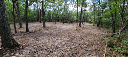 12 Acres – Wispy Trail Ln, Viola, MO