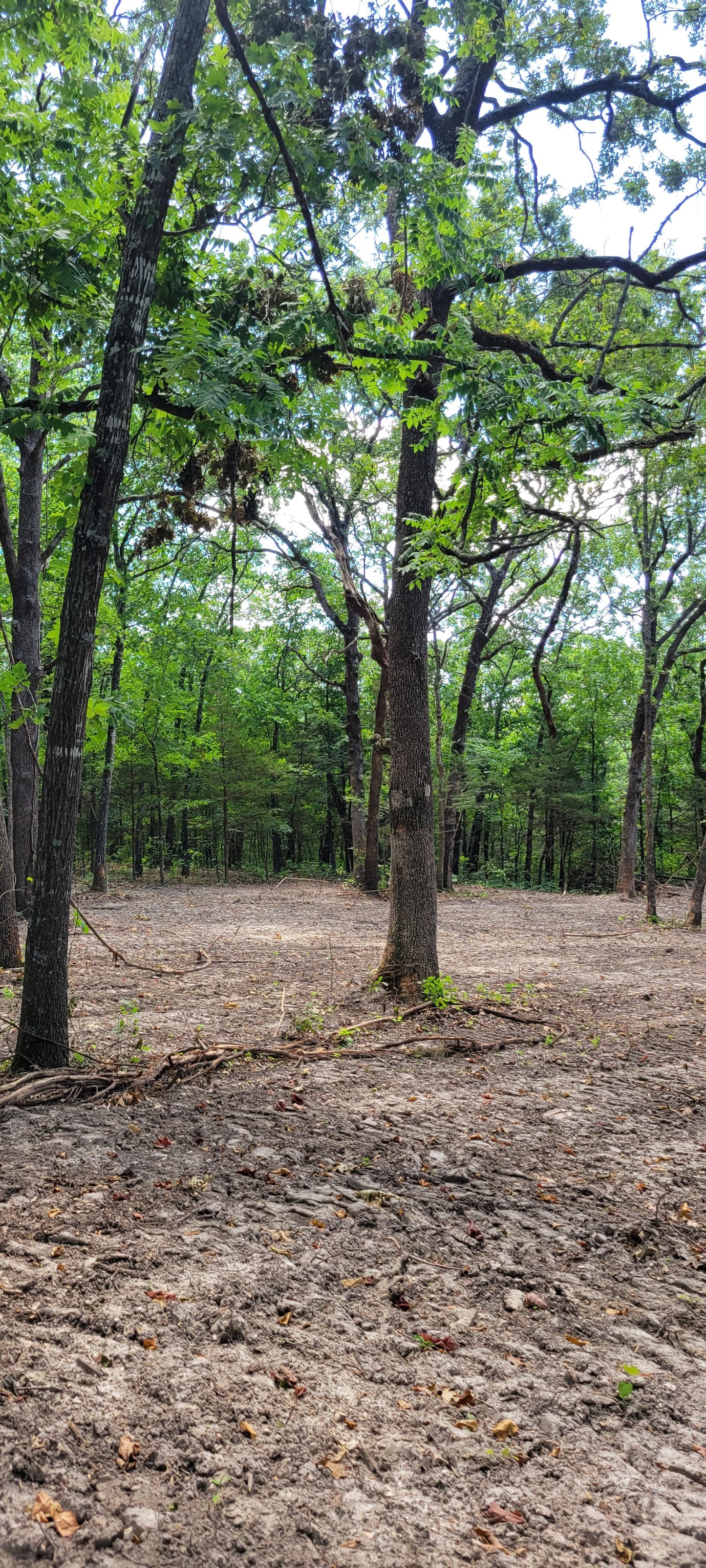 12 Acres – Wispy Trail Ln, Viola, MO