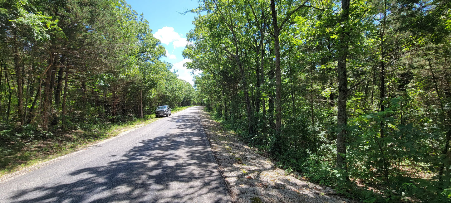 12 Acres – Wispy Trail Ln, Viola, MO