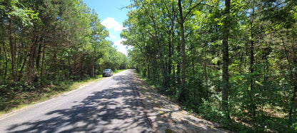 12 Acres – Wispy Trail Ln, Viola, MO