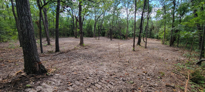 12 Acres – Wispy Trail Ln, Viola, MO