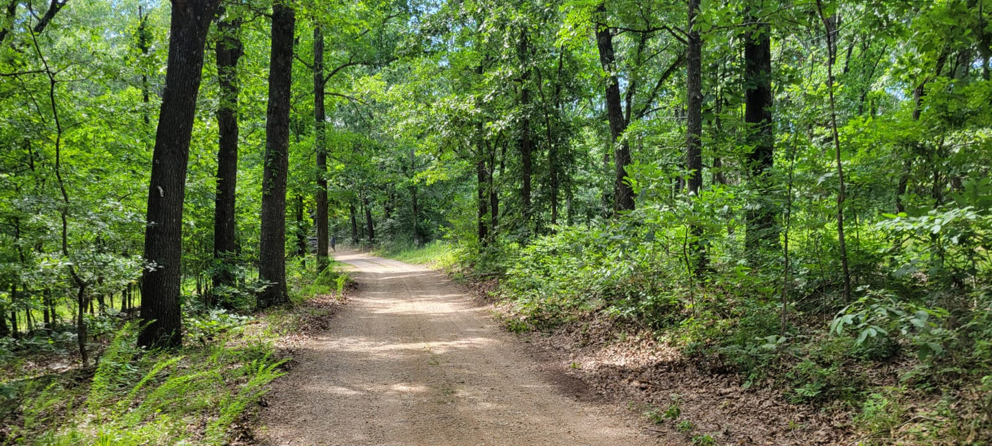 20 Acres on Martin Hollow Rd, Stone County MO