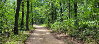 20 Acres on Martin Hollow Rd, Stone County MO
