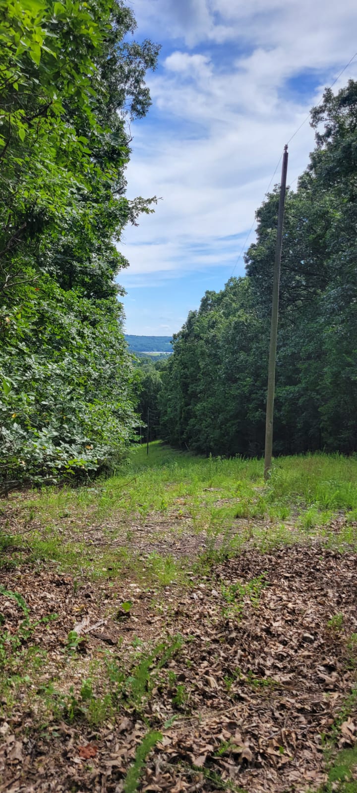 20 Acres on Martin Hollow Rd, Stone County MO