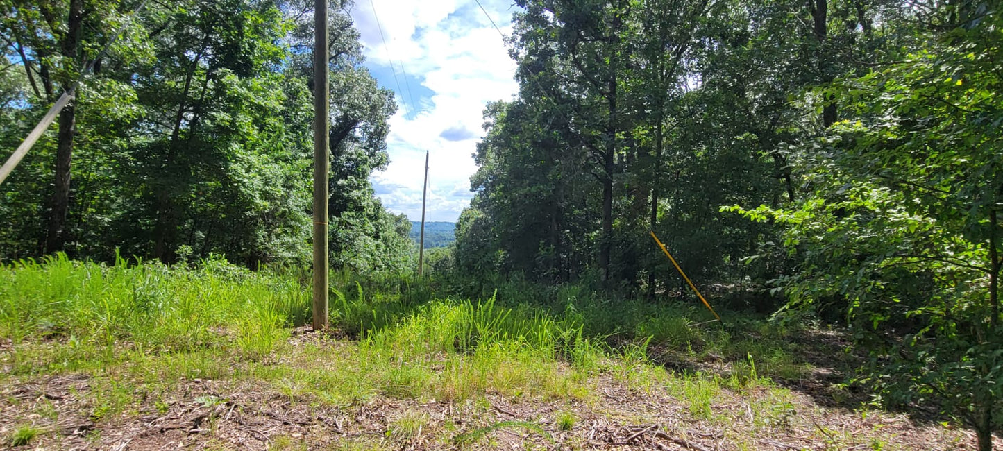 20 Acres on Martin Hollow Rd, Stone County MO