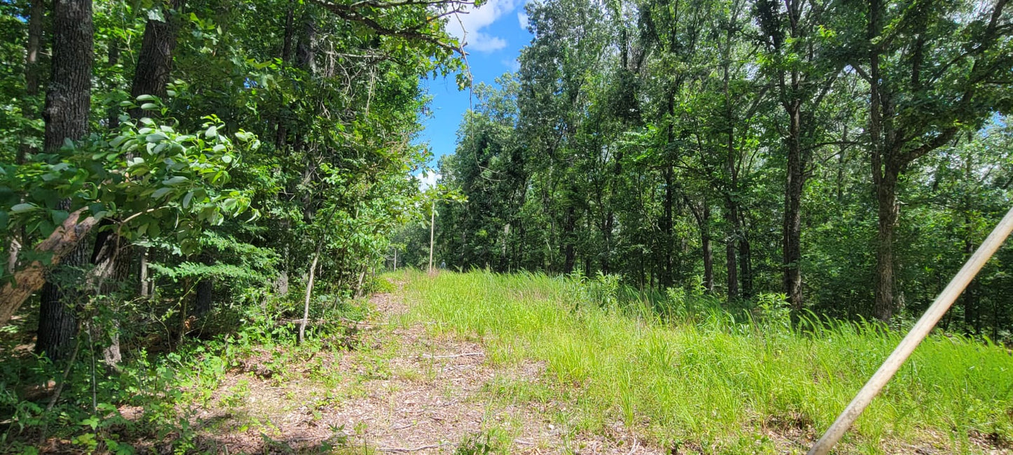 20 Acres on Martin Hollow Rd, Stone County MO