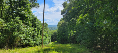 20 Acres on Martin Hollow Rd, Stone County MO