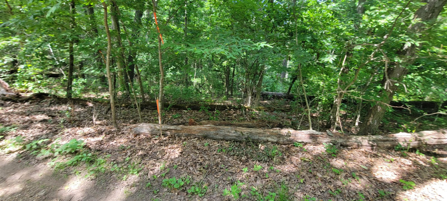 20 Acres on Martin Hollow Rd, Stone County MO