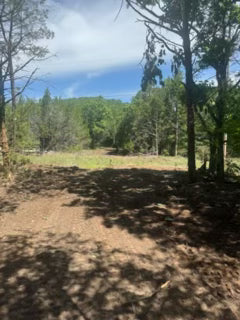 10.2 acre with lake views