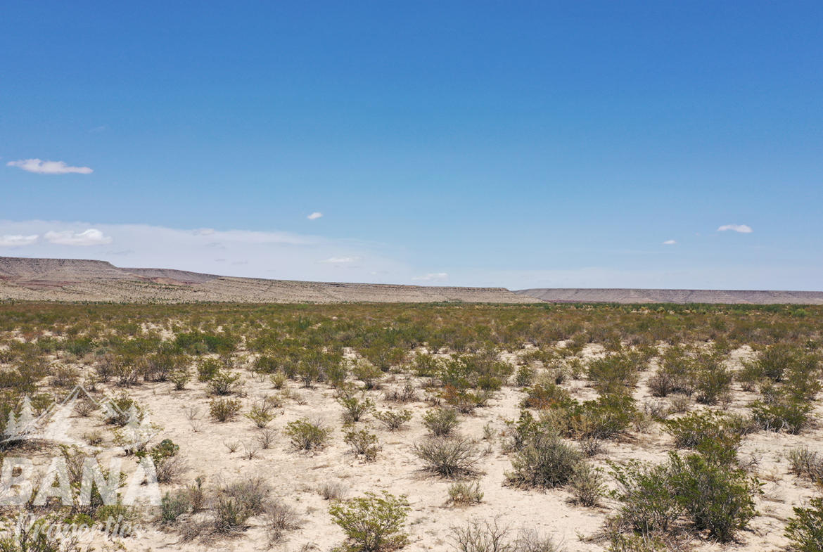Stunning 53 Acre Ranch in Hudspeth County!