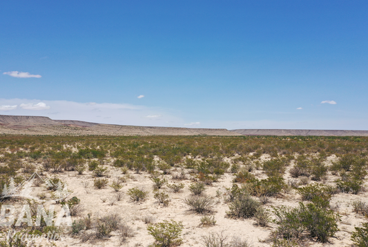 Stunning 53 Acre Ranch in Hudspeth County!