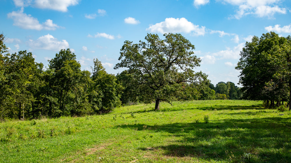 Huge 904 Acre Farm- Minutes from Bentonville!