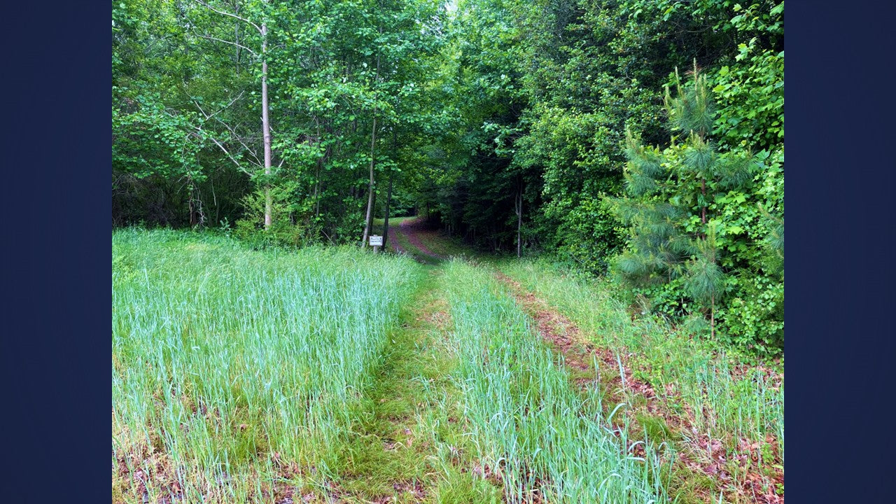 Wooded 5.26+/- acres in Middlesex County VA