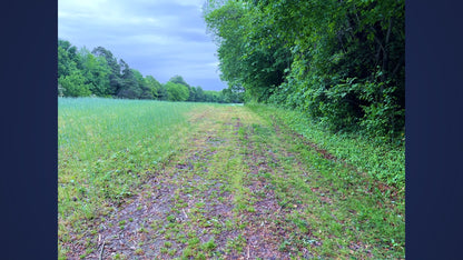 Wooded 5.26+/- acres in Middlesex County VA