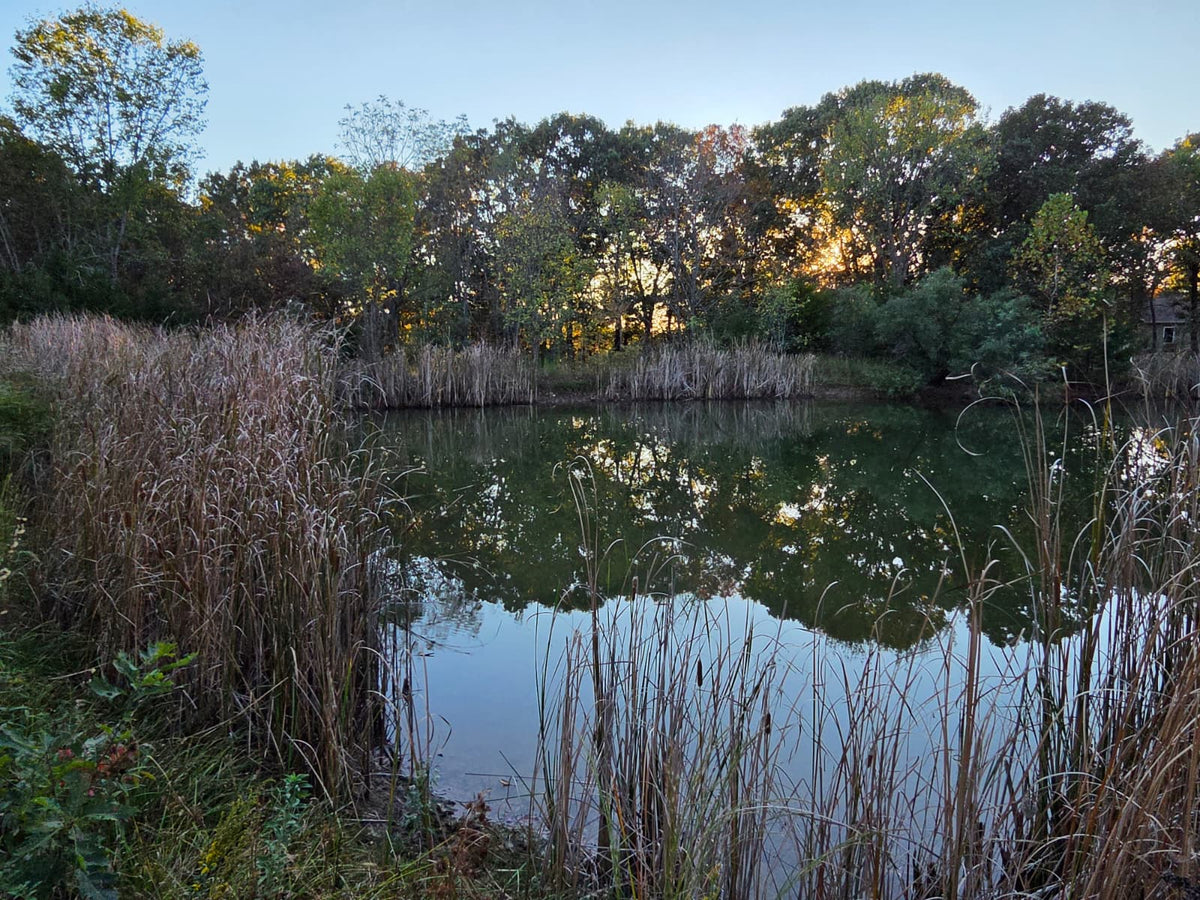 20 acres Miller county Missouri