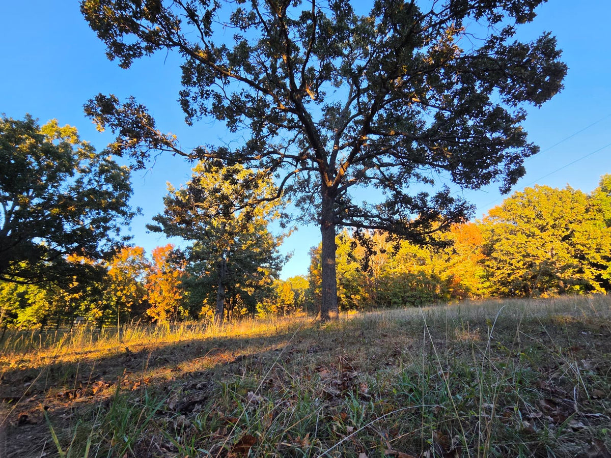 20 acres Miller county Missouri