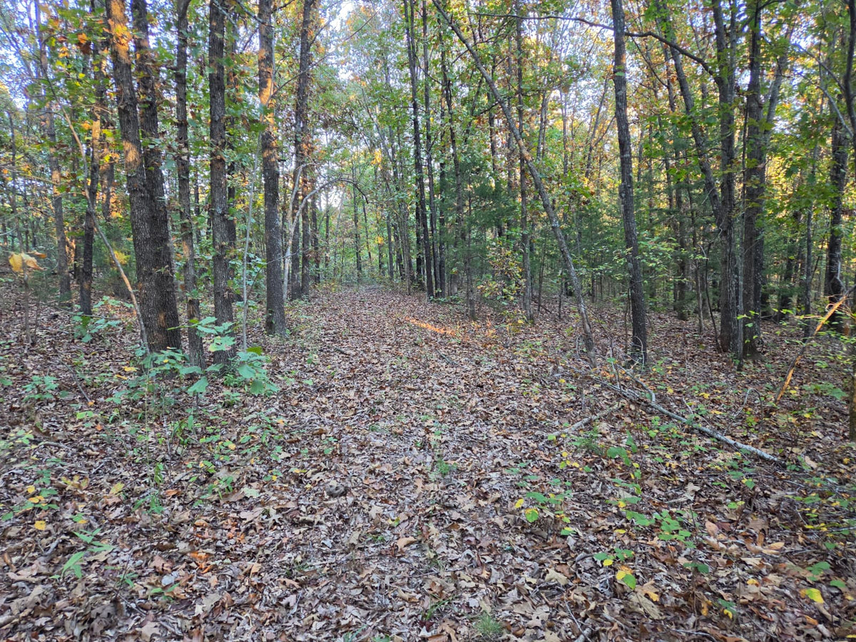20 acres Miller county Missouri