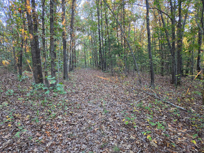 20 acres Miller county Missouri