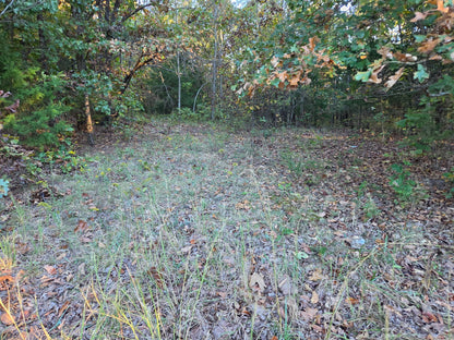 20 acres Miller county Missouri