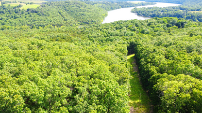 20 Acres on Martin Hollow Rd, Stone County MO