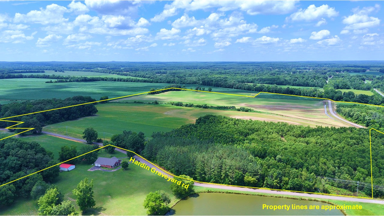 120± Acres in McNairy County, TN