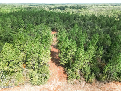 12 acres Washington County Florida