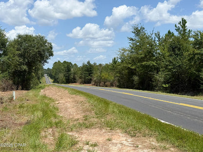 12 acres Washington County Florida