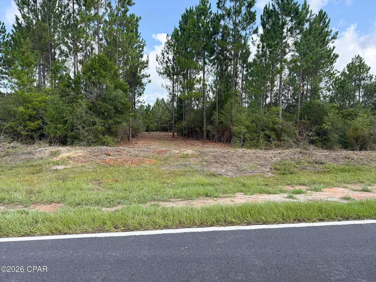 12 acres Washington County Florida