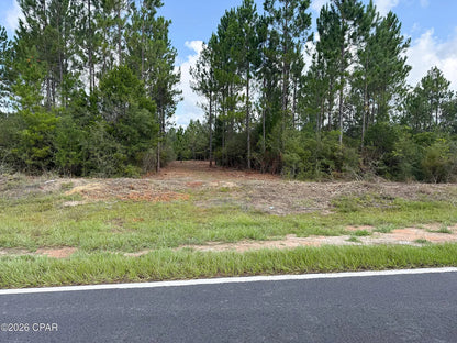 12 acres Washington County Florida