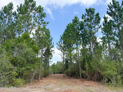 12 acres Washington County Florida