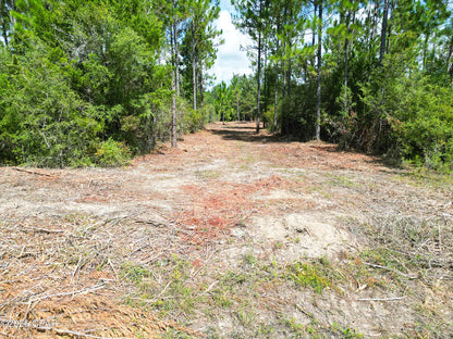 12 acres Washington County Florida